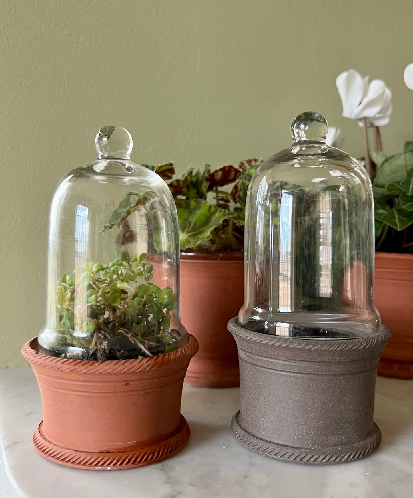 Micro Terrarium