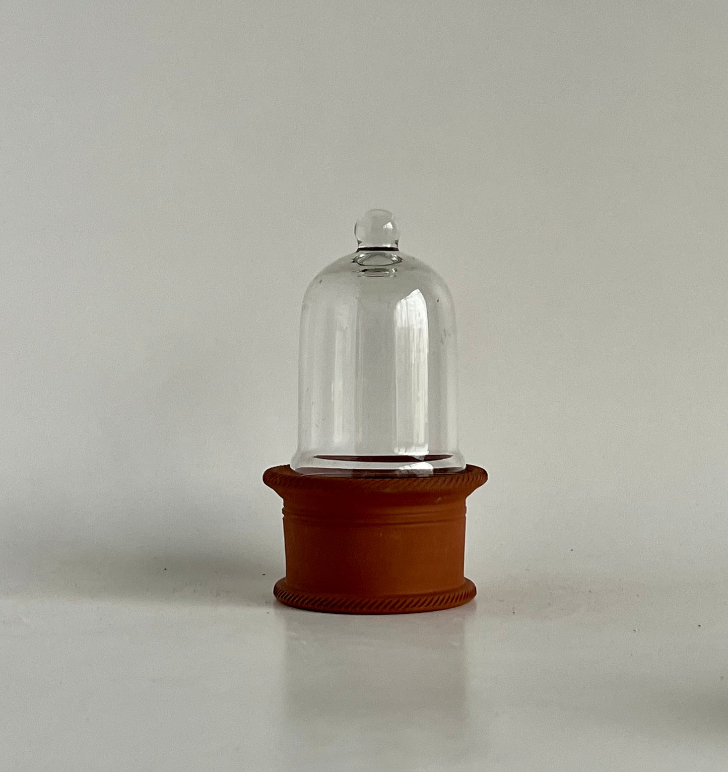 Micro Terrarium