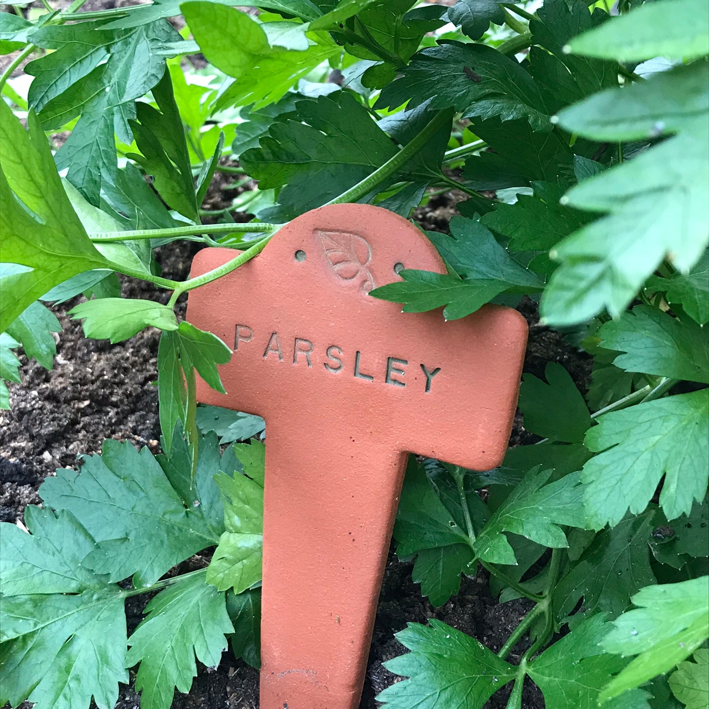 Plant Marker